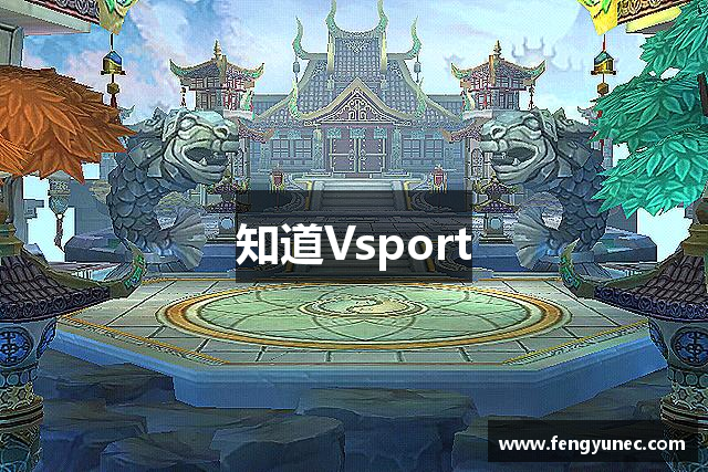 知道Vsport